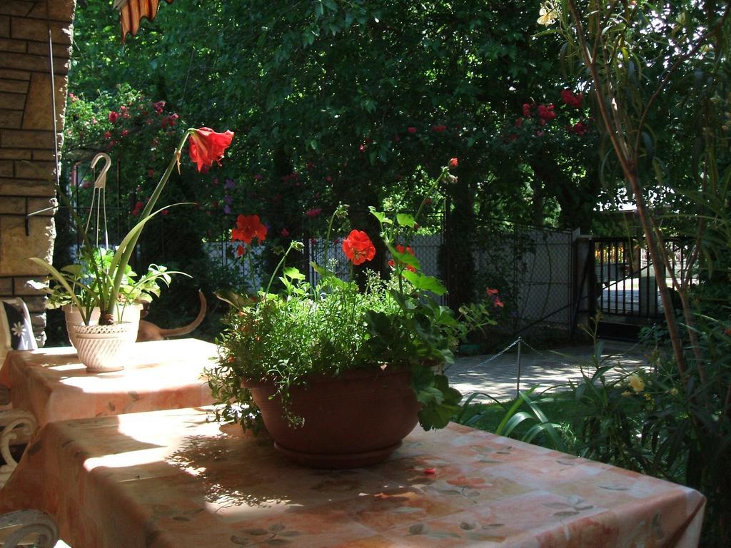 Otis Vendeghaz Apartment Сиофок Екстериор снимка